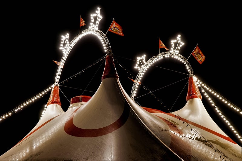 Interactive Circus Performance